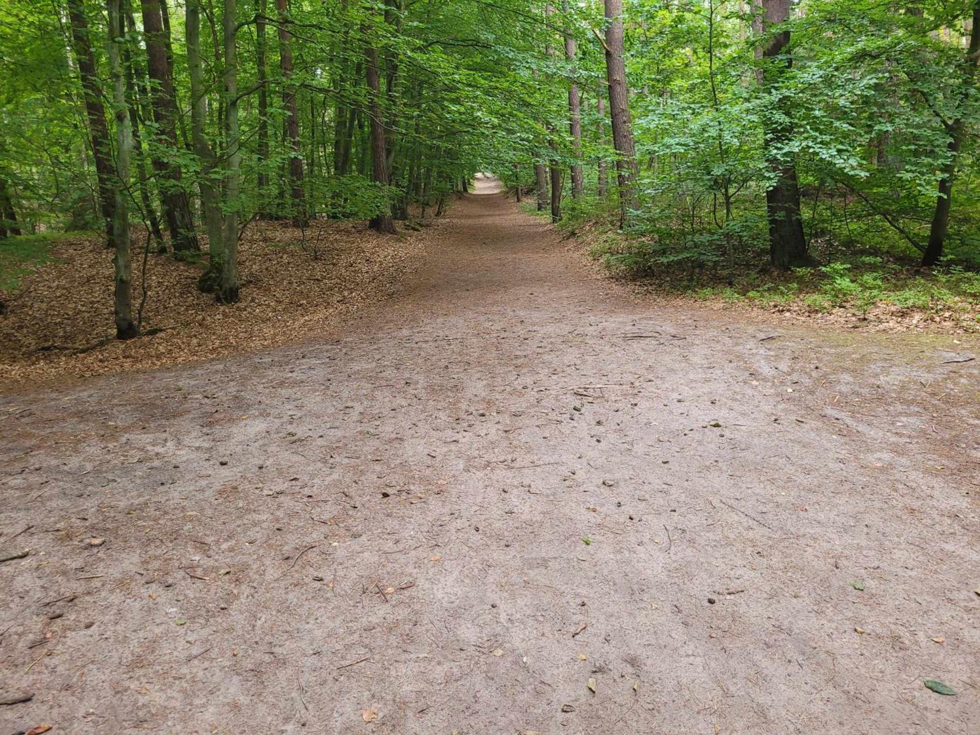 Mt Burszynowe Osiedle